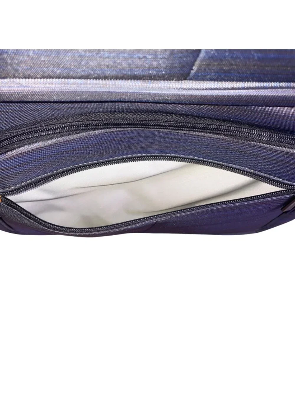 Ricardo Men’s Gray & Blue Blend Nylon 4-Wheel Spinner Expandable Travel Luggage